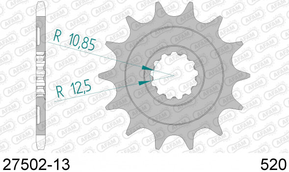 27502-13 звезда передняя KAWASAKI KLX, KX 450 (ведущая) стальная, 520, AFAM (JTF1565.13)