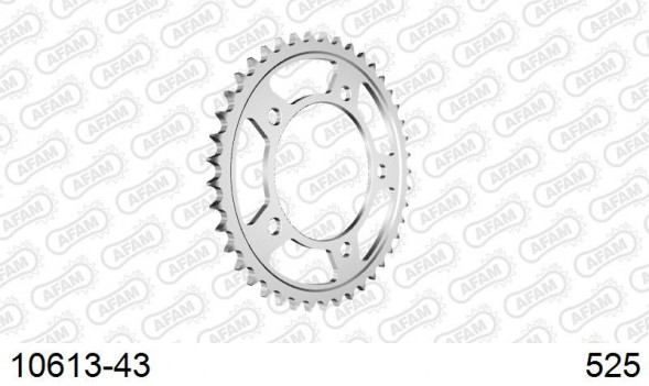 10613-43 звезда задняя HONDA CB 600, CBF 600, VT 750 (ведомая) стальная, 525, AFAM (JTR1304.43)
