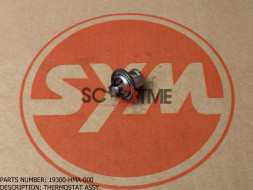 Термостат в сборе SYM GTS 300i EFI