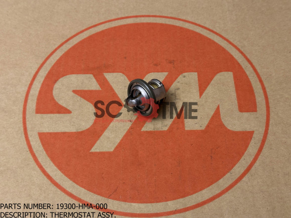Термостат в сборе SYM GTS 250