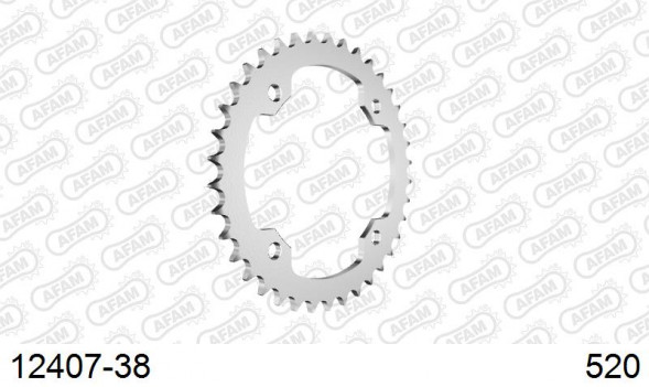 12407-38 звезда задняя YAMAHA YFM 350, YFM 700 R Raptor (ведомая) стальная, 520, AFAM (JTR1857.38)