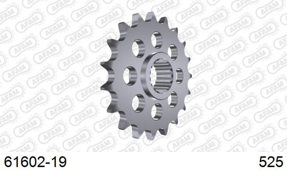 61602-19 звезда передняя BMW F 800 R (ведущая) стальная, 525, AFAM