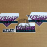 Наклейки YAMAHA MINT (4шт) [Special Edition - purple]