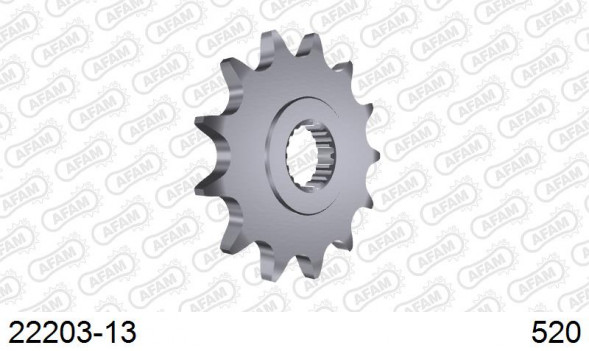 22203-13 звезда передняя SUZUKI RM 125 (ведущая) стальная, 520, AFAM
