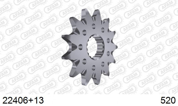 22406+13 звезда передняя SUZUKI RM-Z 450 (ведущая) стальная самоочищающаяся, 520, AFAM