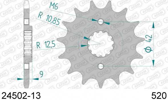 24502-13 звезда передняя KAWASAKI EX 300 Ninja, KLE 300, Z 300 ER (ведущая) стальная, 520, AFAM (JTF516.13)